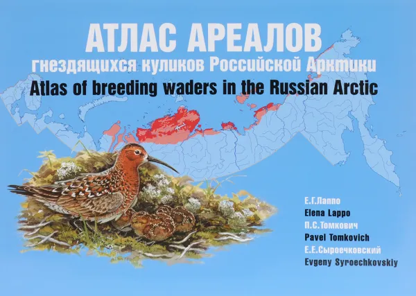 Обложка книги Атлас ареалов гнездящихся куликов Российской Арктики / Atlas of Breeding Waders in the Russian Arctic, Е. Г. Лаппо, П. С. Томкович, Е. Е. Сыроечковский