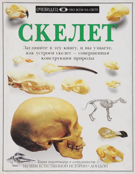 Обложка книги Скелет, Стив Паркер