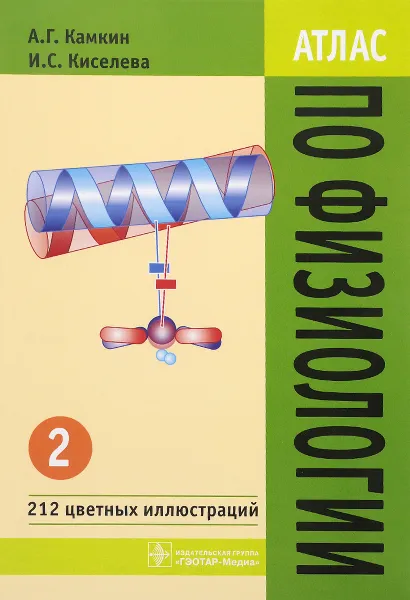 Обложка книги Атлас по физиологии. Учебное пособие. В 2 томах. Том 2, А. Г. Камкин, И. Е. Киселева