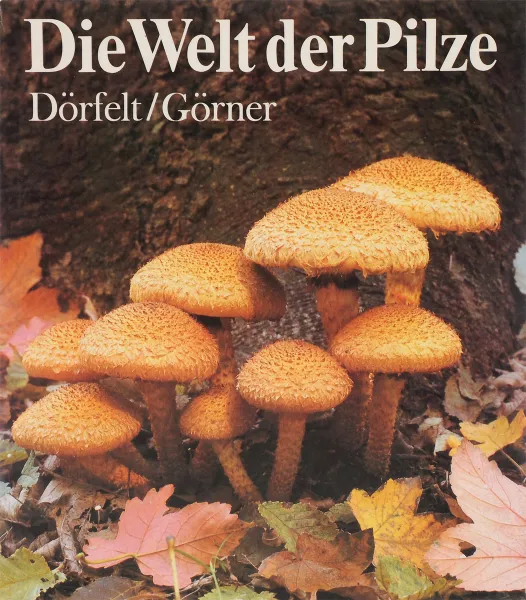 Обложка книги Die Welt der Pilze, H. Dorfelt, H. Gorner