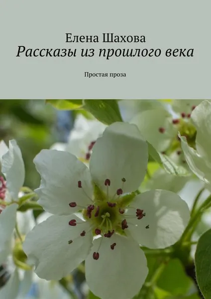 Обложка книги Рассказы из прошлого века, Шахова Елена