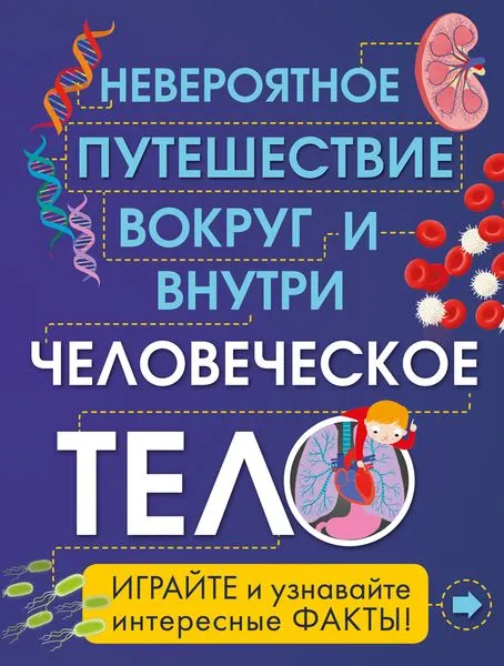 Обложка книги Человеческое тело. Невероятное путешествие вокруг и внутри, Анна Клейборн