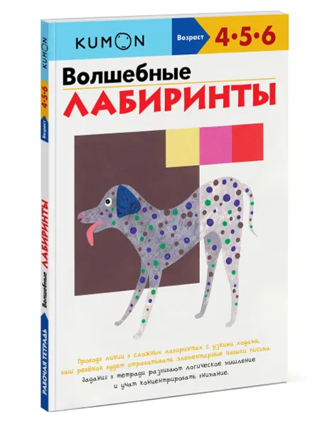 Обложка книги Волшебные лабиринты, Надежда Кузнецова,Тору Кумон