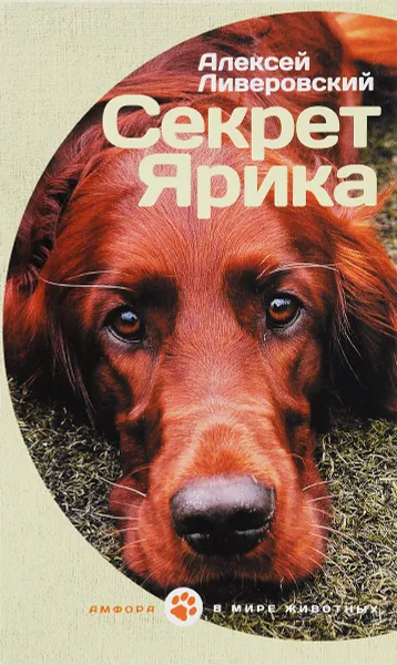 Обложка книги Секрет Ярика, Алексей Ливеровский