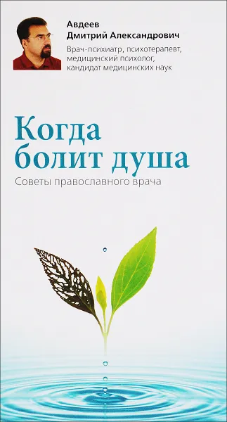 Обложка книги Когда болит душа. Советы православного врача, Д. А. Авдеев