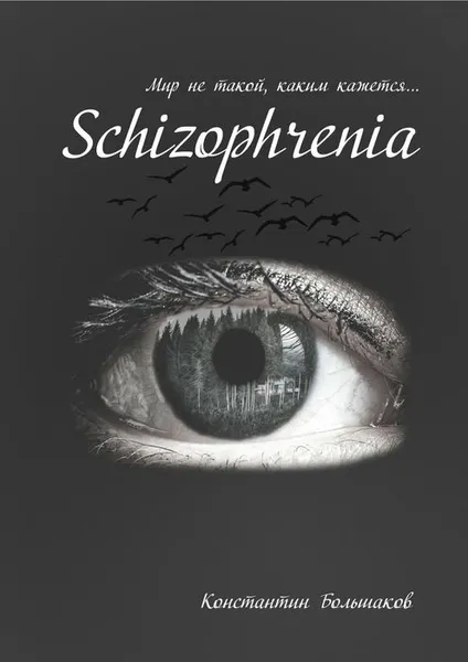 Обложка книги Schizophrenia. Мир не такой, каким кажется, Большаков Константин