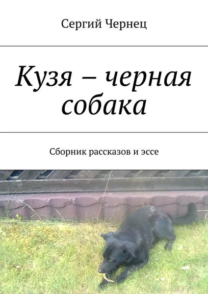 Обложка книги Кузя – черная собака, Чернец Сергий