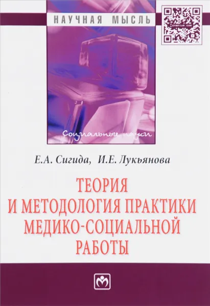 Обложка книги Теория и методология практики медико-социальной работы, Е. А. Сигида, И. Е. Лукьянова