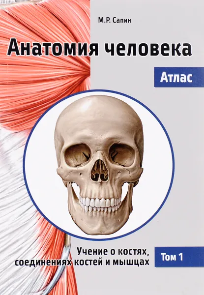 Обложка книги Анатомия человека. Атлас. В 3 томах. Том 1. Учение о костях, соединениях костей и мышцах. Учебное пособие, М. Р. Сапин