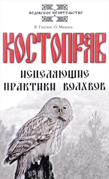 Обложка книги Костоправ. Исцеляющие практики волхвов, В. Гнатюк, О. Мамаев