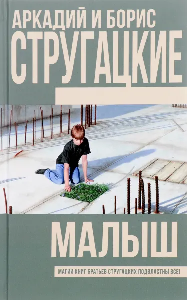 Обложка книги Малыш, Аркадий Стругацкий, Борис Стругацкий