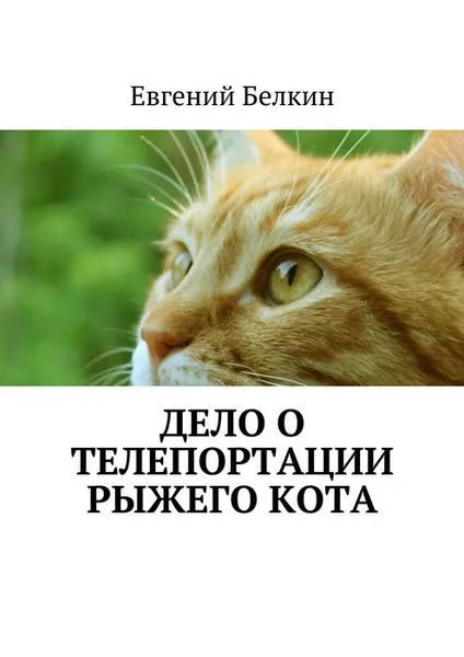 Обложка книги Дело о телепортации рыжего кота, Белкин Евгений