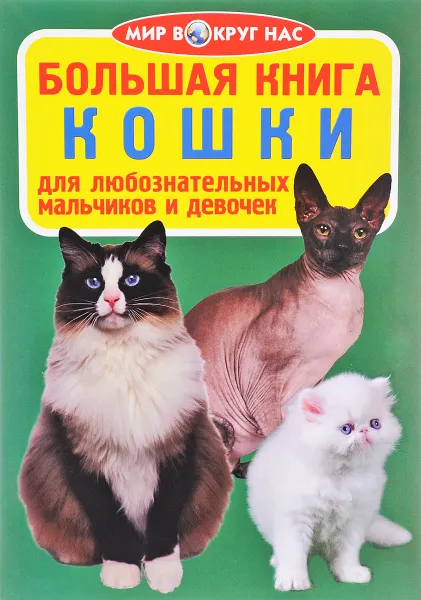 Обложка книги Кошки, О. В. Завязкин