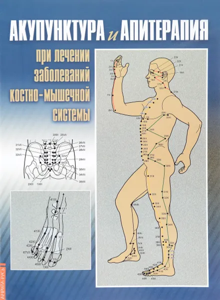 Обложка книги Акупунктура и апитерапия при лечении заболеваний костно-мышечной системы, Гузель Каримова,Нина Усакова,Д. Исхаков,А. Абашев,М. Билалов,А. Билалова,Л. Миндубаева,Л. Мурадимова,Г. Сафиуллина,Р. Якупов