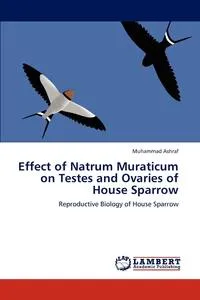 Обложка книги Effect of Natrum Muraticum on Testes and Ovaries of House Sparrow, Muhammad Ashraf