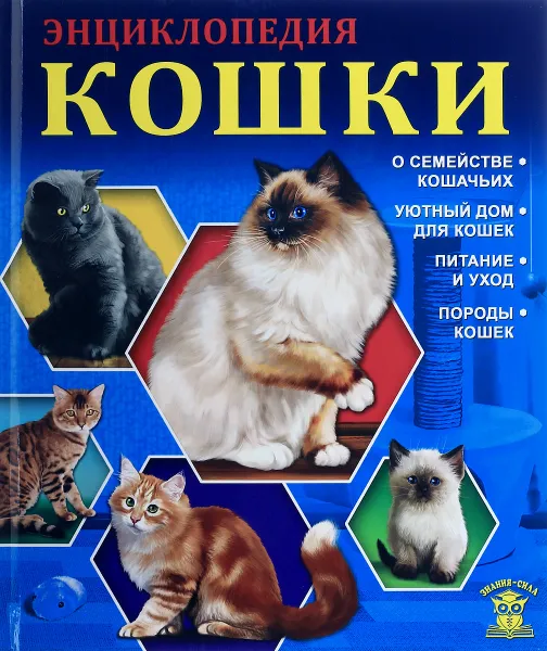 Обложка книги Кошки, Оксана Балуева