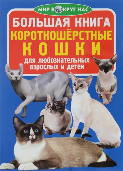 Обложка книги Короткошёрстные кошки, О. В. Завязкин