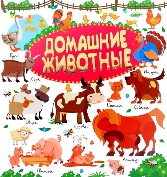 Обложка книги Домашние животные, Л. В. Доманская, И. М. Попова