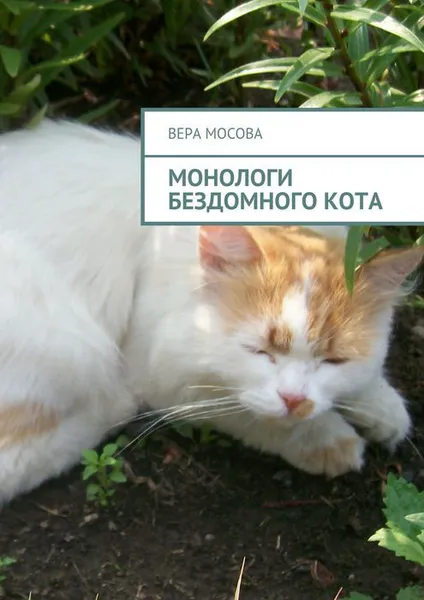 Обложка книги Монологи бездомного кота, Мосова Вера