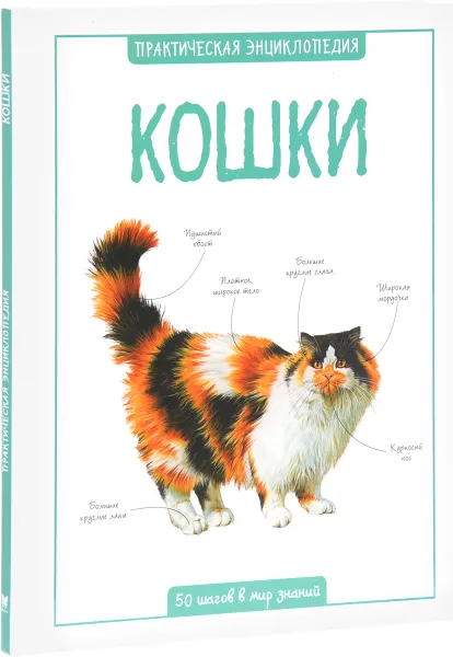 Обложка книги Кошки, Камилла де ла Бедуайер