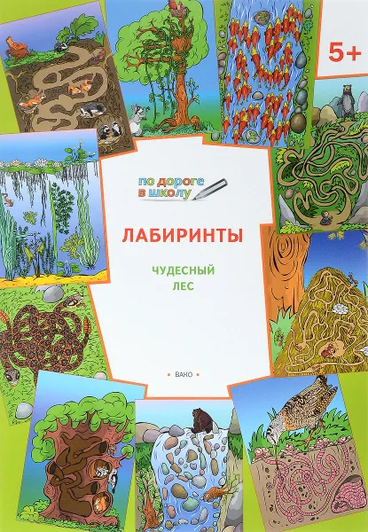 Обложка книги Лабиринты. Чудесный лес. Тетрадь для занятий с детьми 5-6 лет, В. М. Мёдов