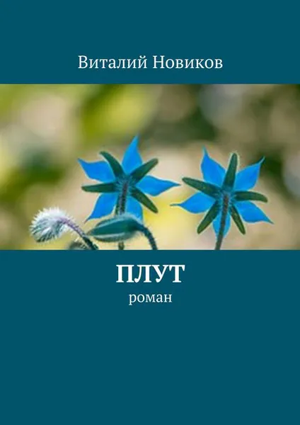 Обложка книги Плут, Новиков Виталий