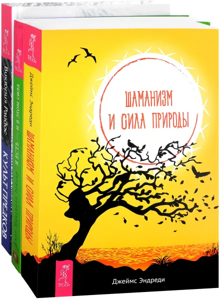 Обложка книги Культ предков. Шаманизм и сила природы. Я есть (комплект из 3 книг), Виктория райдос, Джеймс Эндреди, Джон Максвелл Тейлор