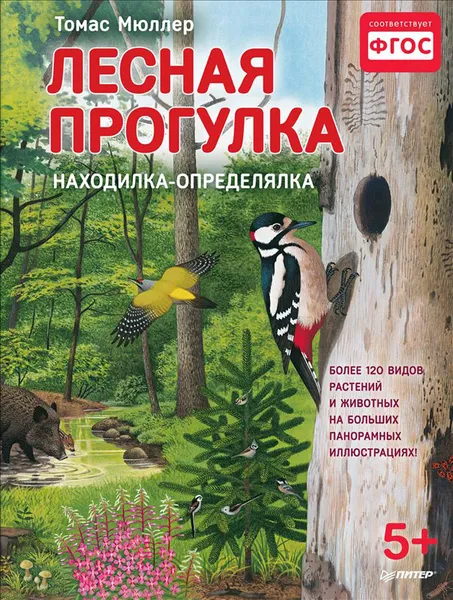 Обложка книги Лесная прогулка. Находилка-определялка, Томас Мюллер