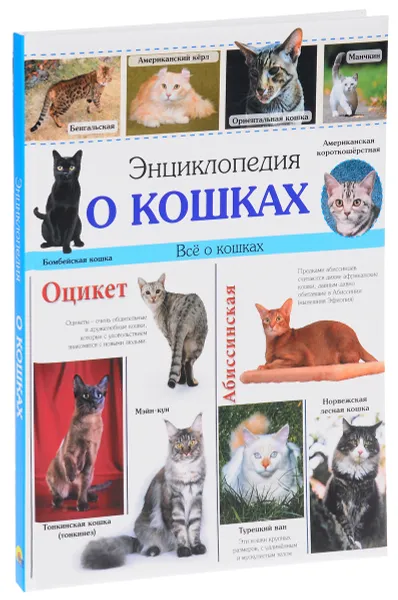 Обложка книги Энциклопедия о кошках, Ярослава Соколова