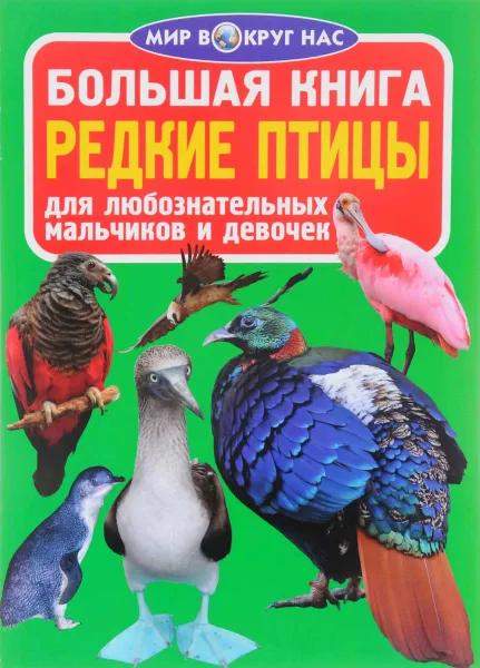 Обложка книги Редкие птицы, О. В. Завязкин