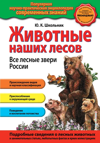 Обложка книги Животные наших лесов. Все лесные звери России, Юлия Школьник