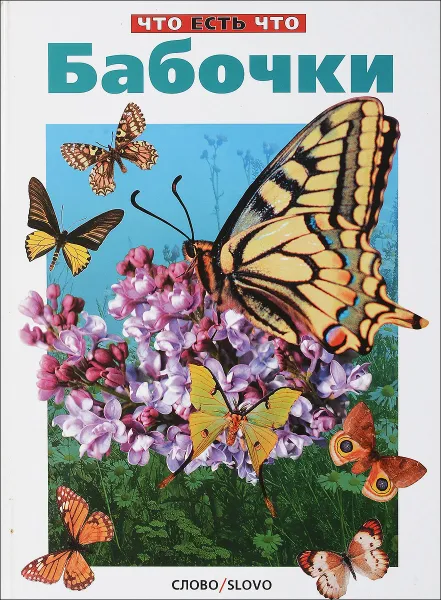 Обложка книги Бабочки, Непомнящий Н.