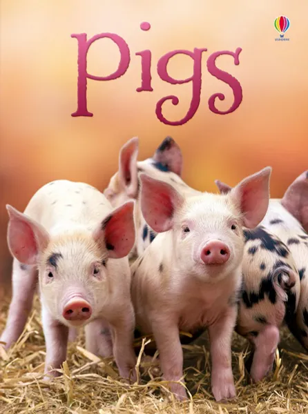 Обложка книги Pigs, James Maclaine