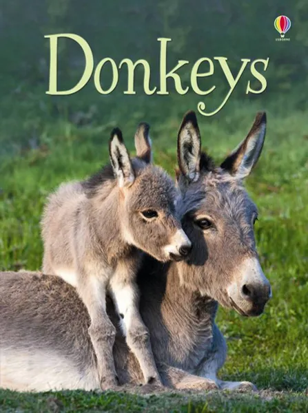 Обложка книги Donkeys, Maclaine, James