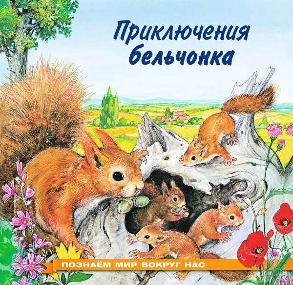 Обложка книги Приключения бельчонка, И. В. Гурина