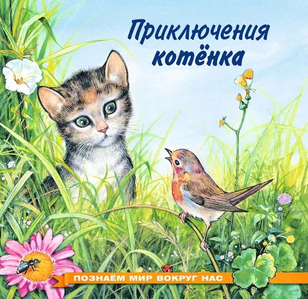 Обложка книги Приключения котенка, И. В. Гурина