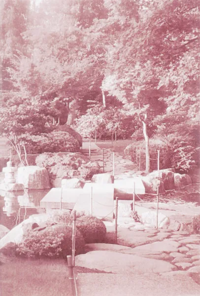 Обложка книги Мой 