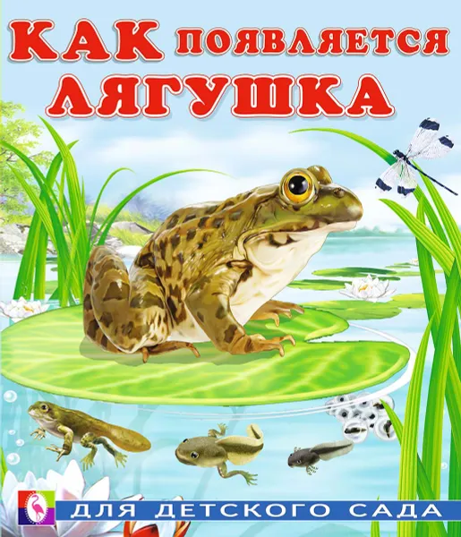 Обложка книги Как появляется лягушка, Ирина Гурина