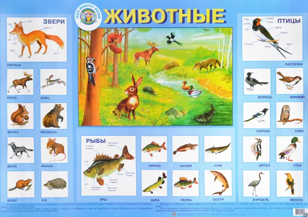 Обложка книги Животные. Плакат, Л. Данилова