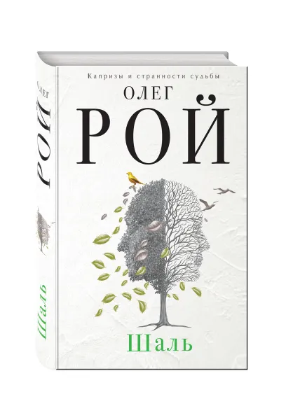 Обложка книги Шаль, Олег Рой