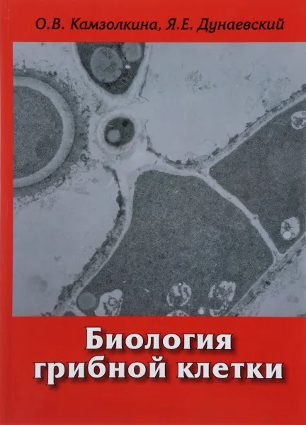 Обложка книги Биология грибной клетки. Учебное пособие, О. В. Камзолкина, Я. Е. Дунаевский