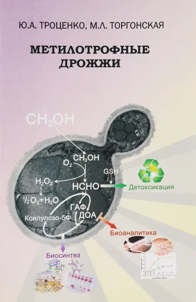 Обложка книги Метилотрофные дрожжи, Ю. А. Троценко, М. Л. Торгонская