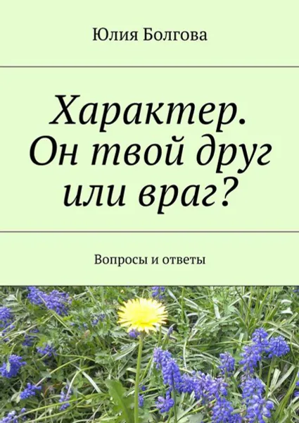 Обложка книги Характер. Он твой друг или враг?. Вопросы и ответы, Болгова Юлия