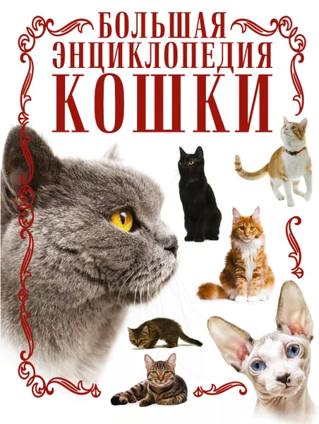 Обложка книги Кошки. Большая энциклопедия, Дмитрий Смирнов