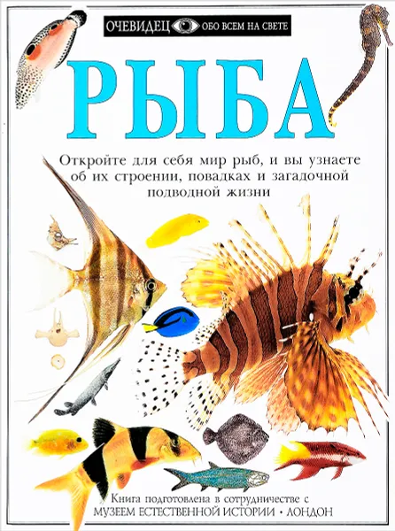 Обложка книги Рыба, Стив Паркер