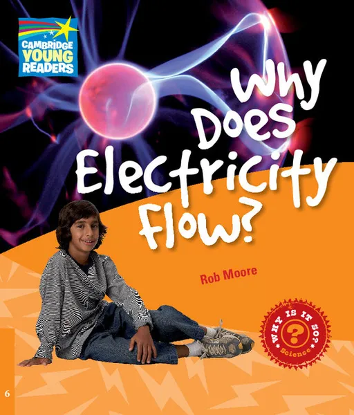 Обложка книги Why Does Electricity Flow? Level 6 Factbook, Rob Moore