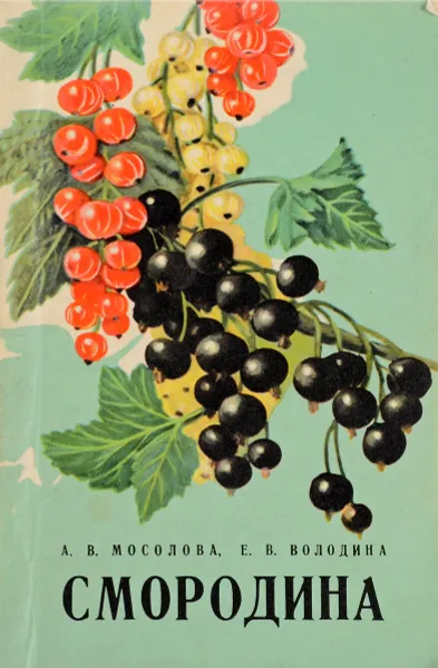 Обложка книги Смородина, А. В. Мосолова, Е. В. Володина