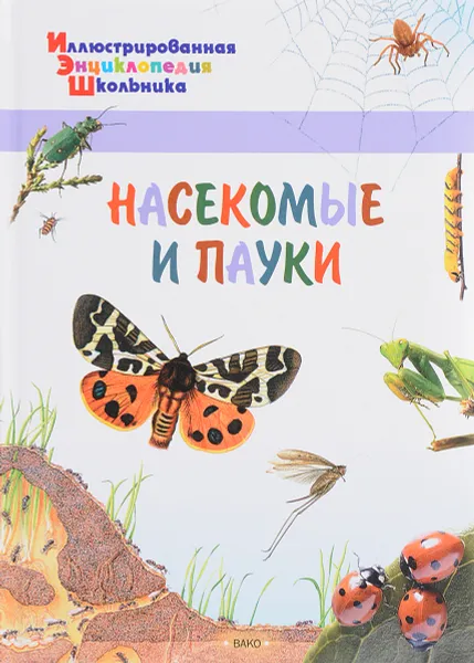 Обложка книги Насекомые и пауки, А. Орехов