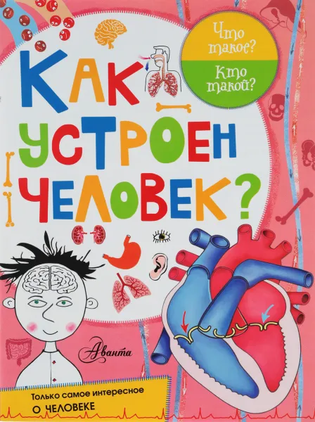 Обложка книги Как устроен человек?, Вера Иванова