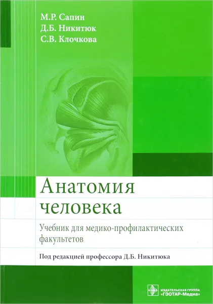 Обложка книги Анатомия человека. Учебник, М. Р. Сапин, Д. Б. Никитюк, С. В. Клочкова